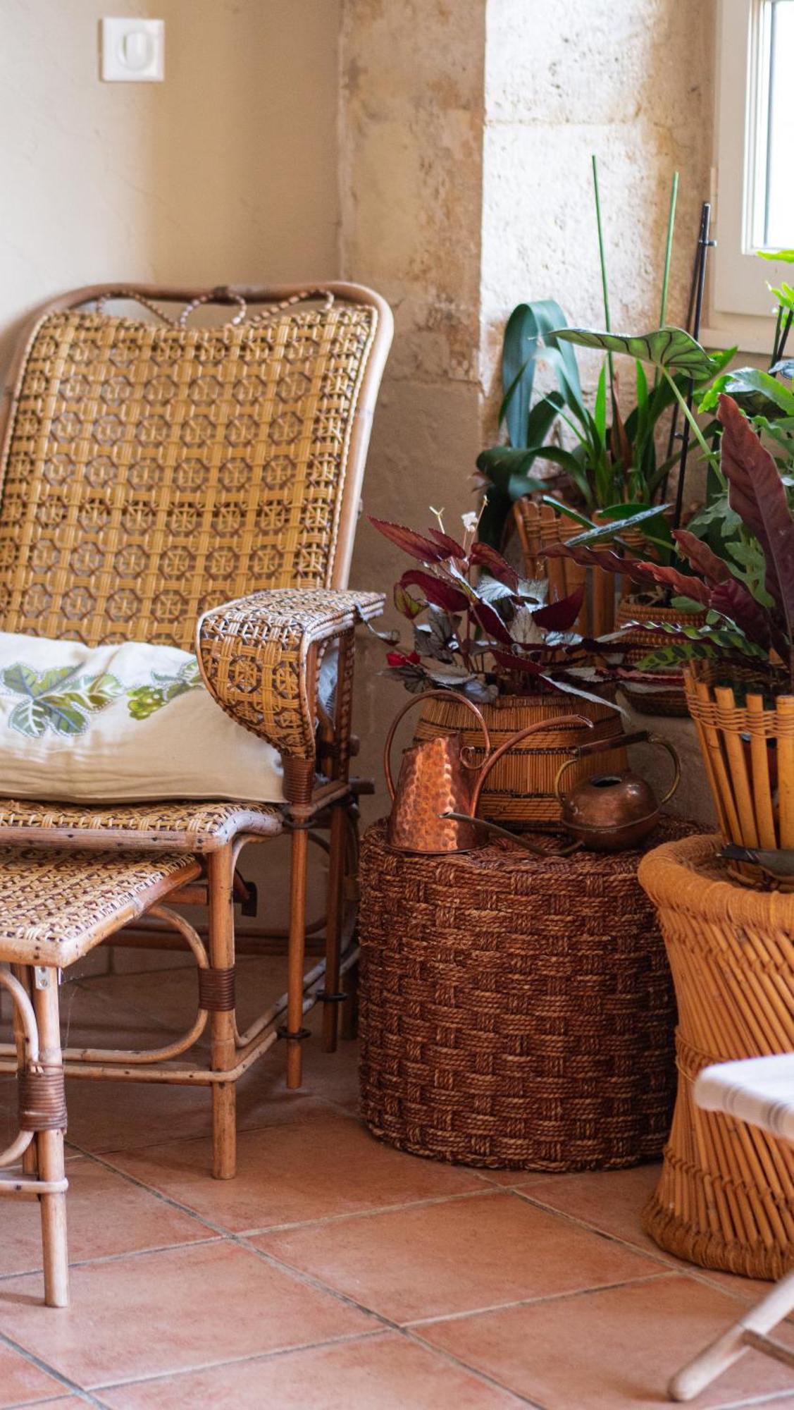 Propriete Le Monneton Bed & Breakfast Sainte-Christie Eksteriør bilde
