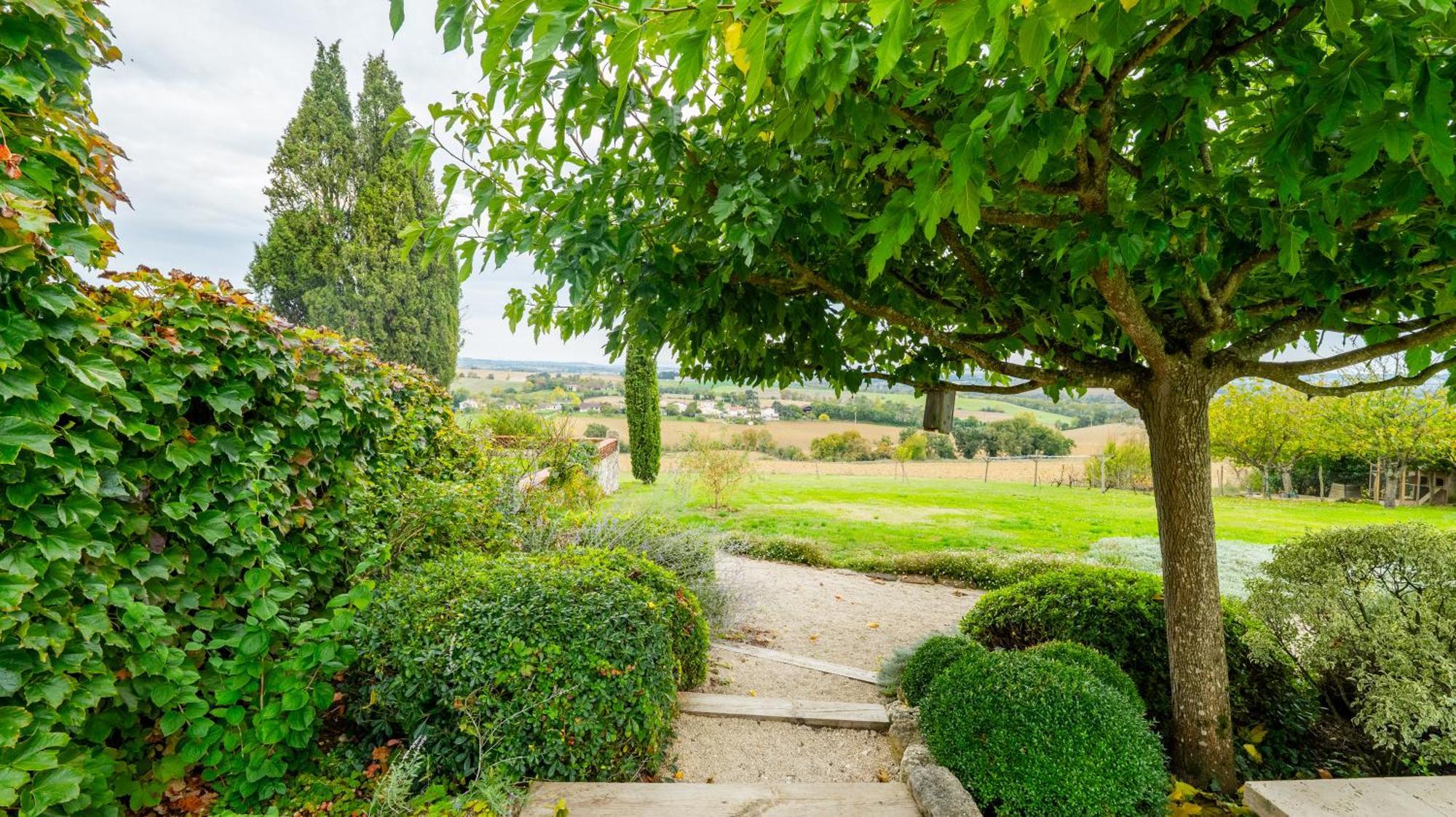 Propriete Le Monneton Bed & Breakfast Sainte-Christie Eksteriør bilde